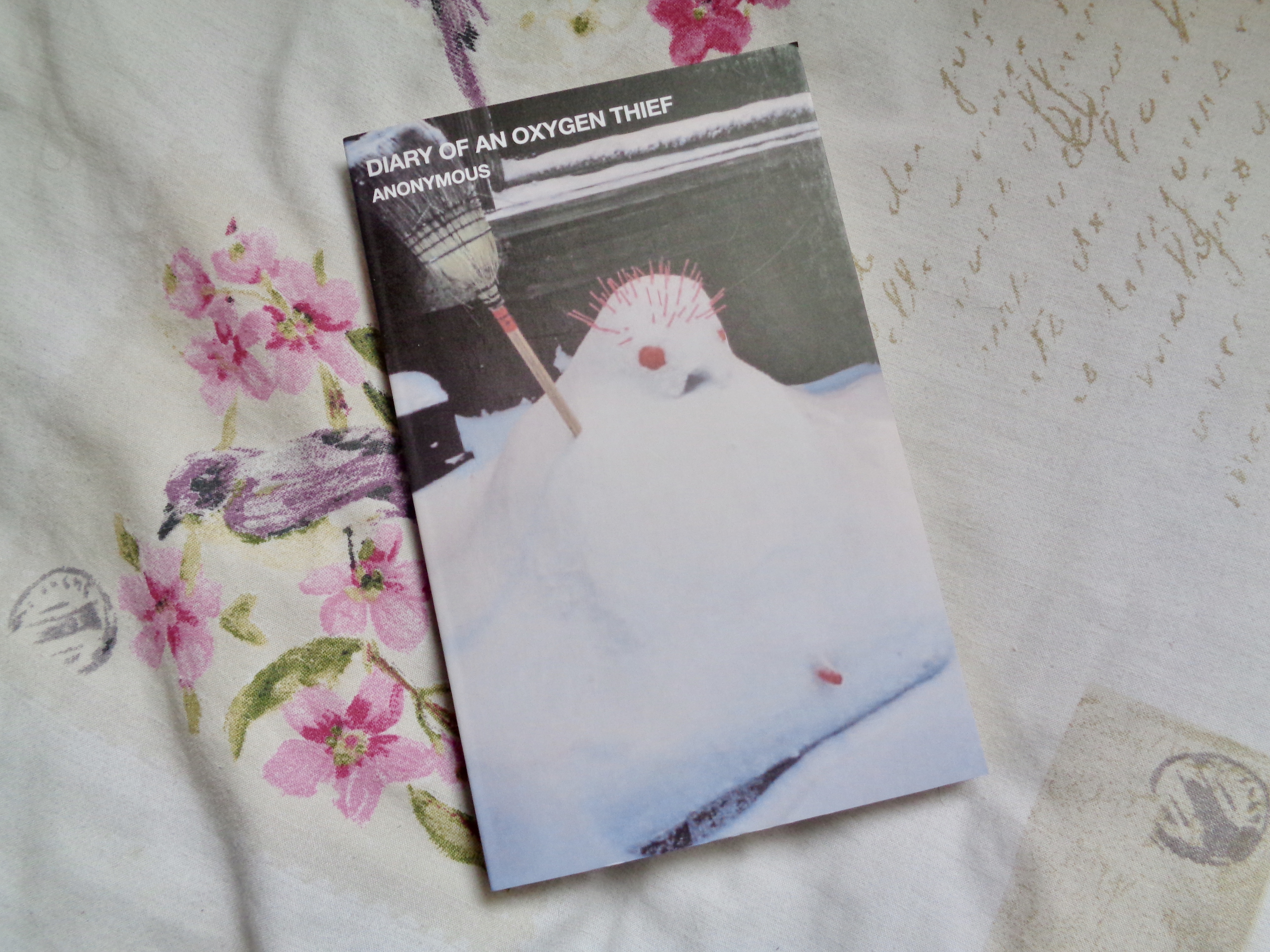Book Recommendations: Diary of An Oxygen Thief by Anonymous, front cover.